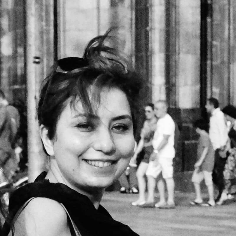 Farnaz Kimya, Volunteer Program